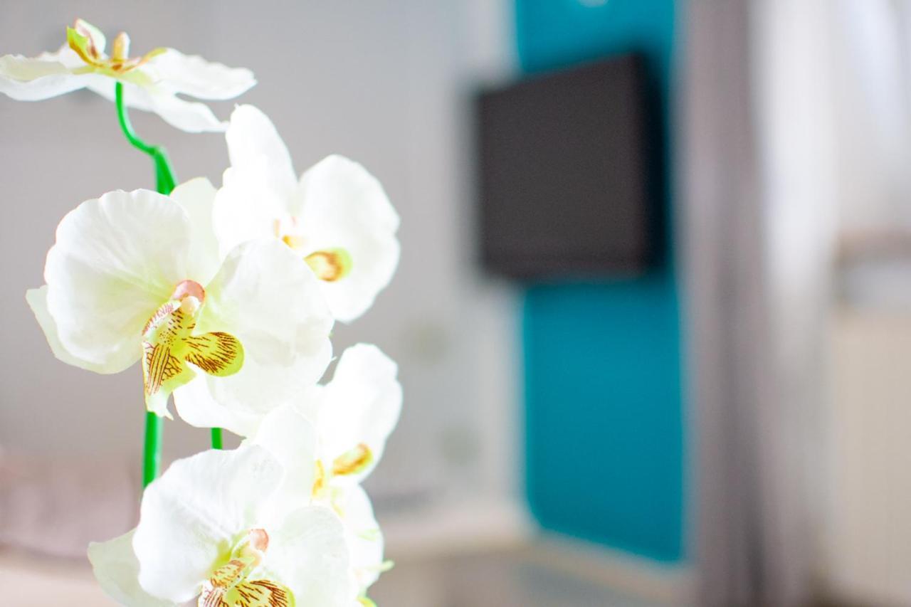 App Roko 2 Apartment Porec Ngoại thất bức ảnh